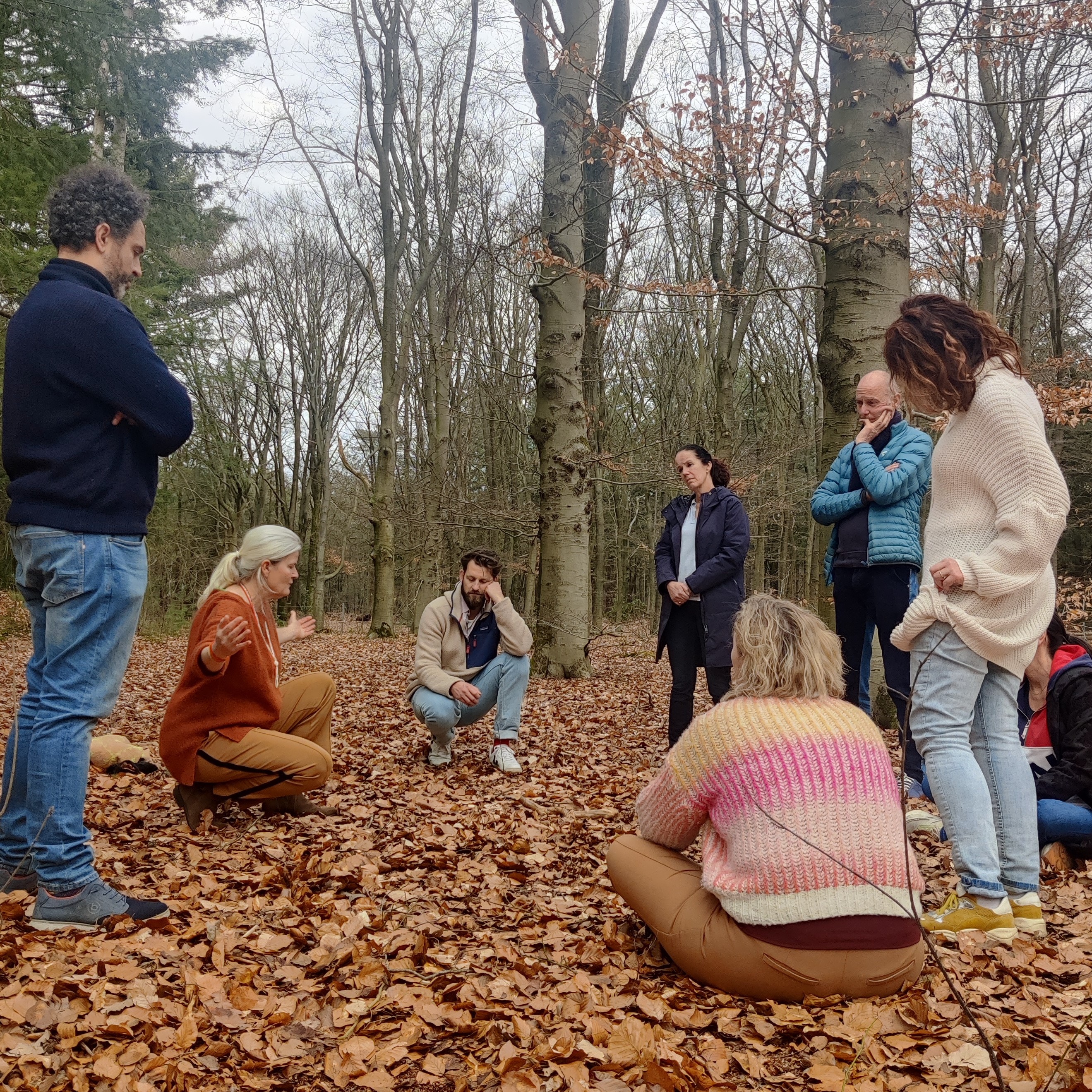 WTR in the woods kopie